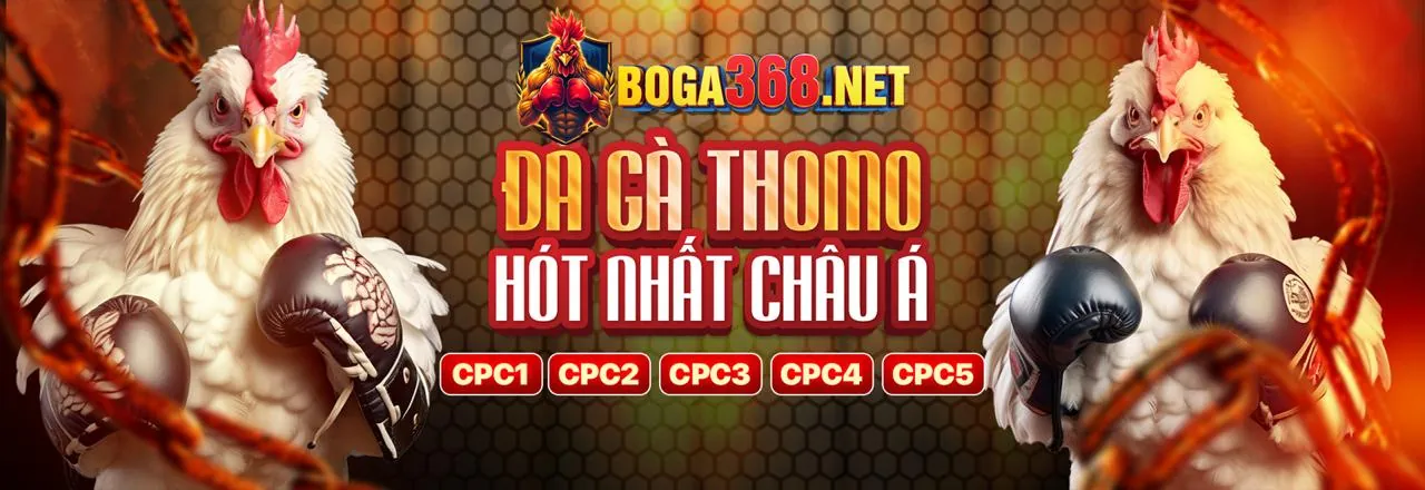 Cá cược thể thao Daga67 với sân vận động sôi động