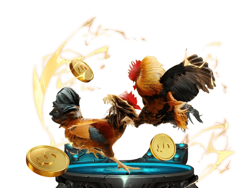 Khuyến mãi sự kiện đặc biệt daga67